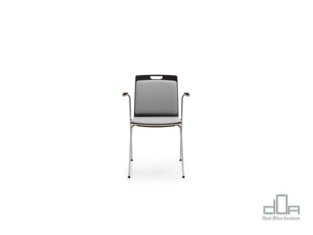 Scaun meeting COM