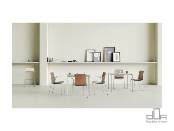 Scaun meeting COM