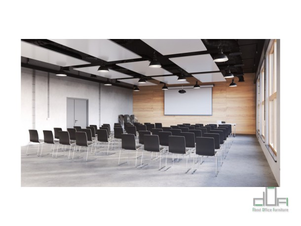 Scaun meeting COM