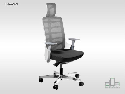 Scaun ergonomic SPINELLY UM-W-999