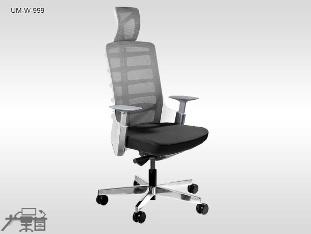 Scaun ergonomic SPINELLY UM-W-999