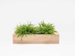 Dulap-Cutie pentru plante