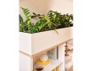Dulap-Cutie pentru plante
